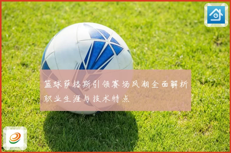 篮球萨格斯引领赛场风潮全面解析职业生涯与技术特点