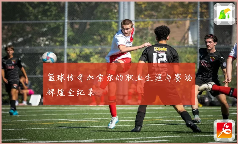 篮球传奇加索尔的职业生涯与赛场辉煌全纪录